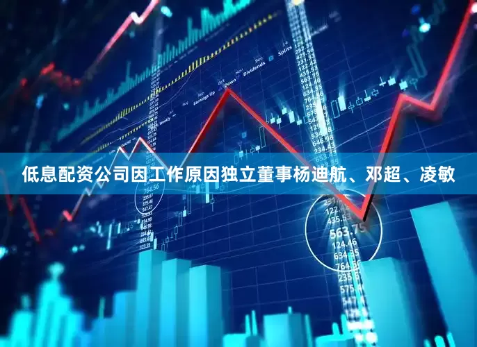 低息配资公司因工作原因独立董事杨迪航、邓超、凌敏