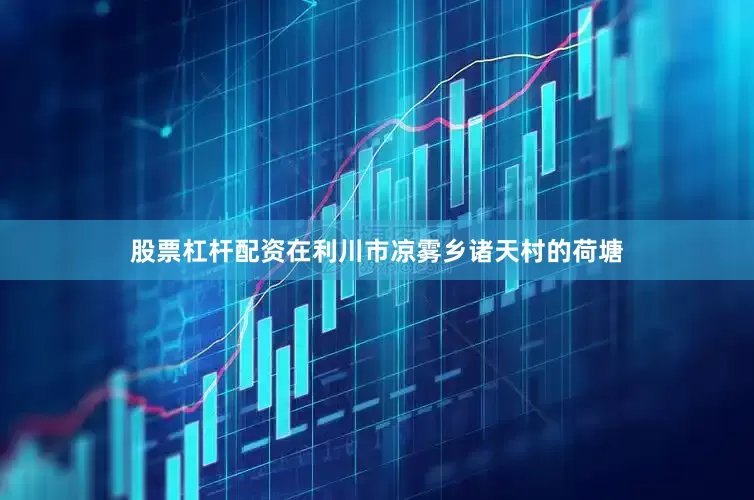 股票杠杆配资在利川市凉雾乡诸天村的荷塘