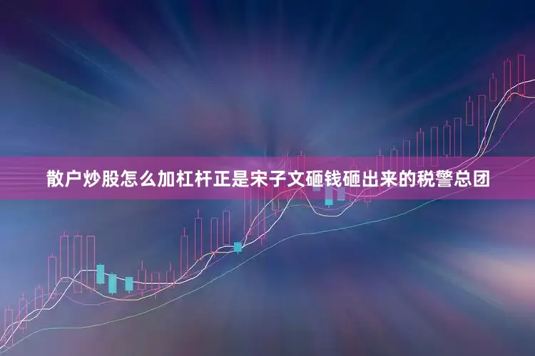 散户炒股怎么加杠杆正是宋子文砸钱砸出来的税警总团