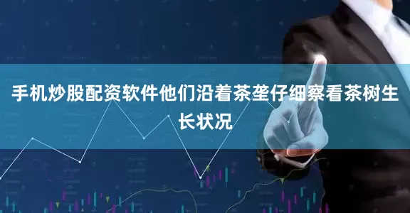 手机炒股配资软件他们沿着茶垄仔细察看茶树生长状况